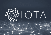IOTA Rebased Testnet: Neue Validatoren stärken das Netzwerk