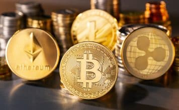 ARK Invest steigt bei Bullish ein: 5 Mio. US-Dollar zum US-Start der Kryptobörse