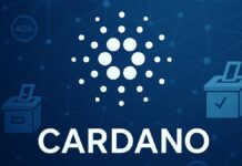 A Picture of Cardano (ADA)