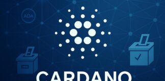 A Picture of Cardano (ADA)