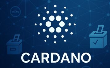A Picture of Cardano (ADA)