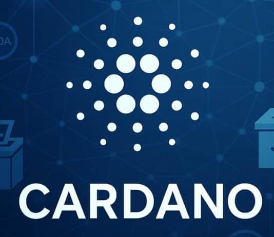 A Picture of Cardano (ADA)