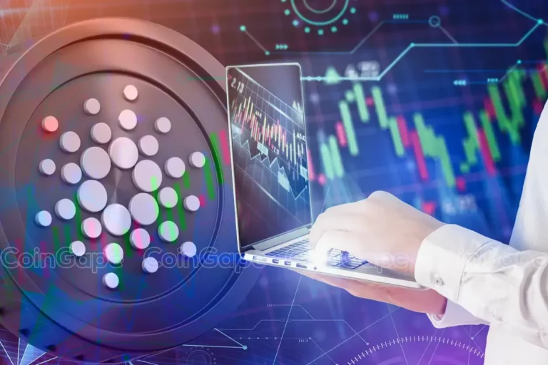 Bitcoin auf Cardano: Minswap bereitet sich auf den Start als erste BTC-fähige DEX vor
