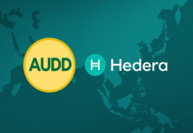 AUDD AND HEDERA FOUNDATION