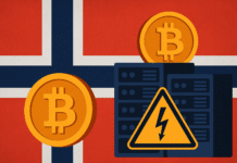 Norway BItcoin Minnig
