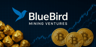 BlueBird and Bitcoin BTC