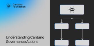 charts that help showcase Cardano’s decentralized decision-making