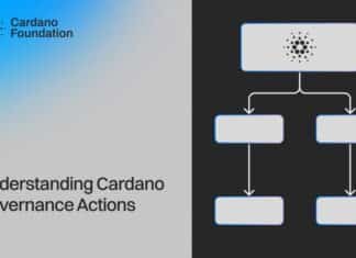 charts that help showcase Cardano’s decentralized decision-making