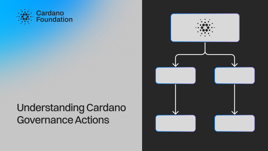 charts that help showcase Cardano’s decentralized decision-making