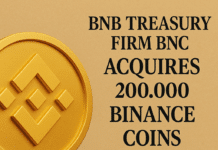 BNB-Treasury