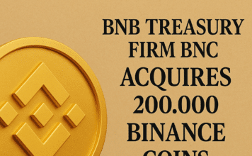 BNB-Treasury