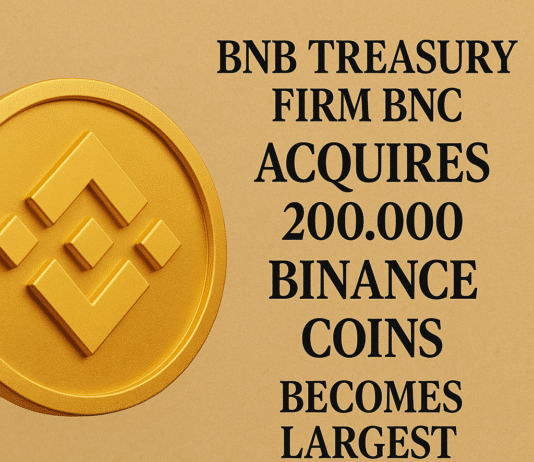 BNB-Treasury