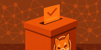 SHIBA INU ELECTION