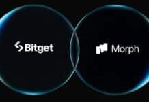 Morph & Bitget