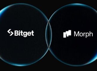 Morph & Bitget