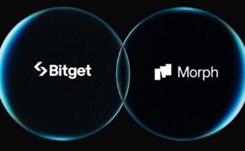 Morph & Bitget
