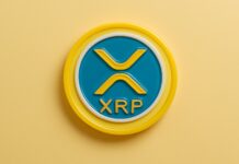 Speculation Grows Over Ripple’s Potential US Bank License Amid XRP ETF Delays