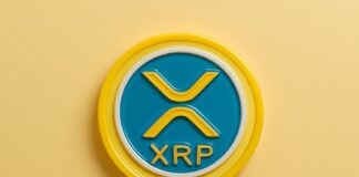 Speculation Grows Over Ripple’s Potential US Bank License Amid XRP ETF Delays