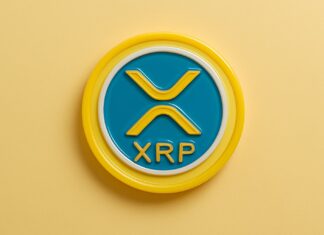 Speculation Grows Over Ripple’s Potential US Bank License Amid XRP ETF Delays