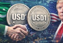 Pakistan prüft USD1-Stablecoin