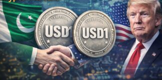 Pakistan prüft USD1-Stablecoin