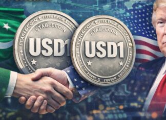 Pakistan prüft USD1-Stablecoin