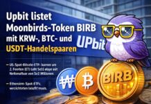 Upbit listet Moonbirds-Token BIRB