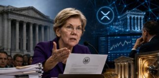 Government hearing meets digital finance world