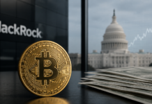 Bitcoin verliert gegen KI-Trade, doch BlackRock sieht neuen Treiber
