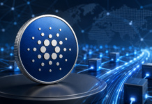 Cardano vor größtem Upgrade seit Jahren: Hoskinson kündigt Leios-Testnet an