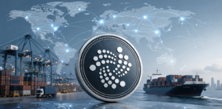 IOTA und TWIN: Handelsnetzwerk soll in über 30 Länder skalieren