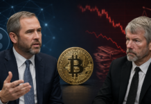 Ripple-Chef attackiert Michael Saylor: Strategy schadet dem Markt