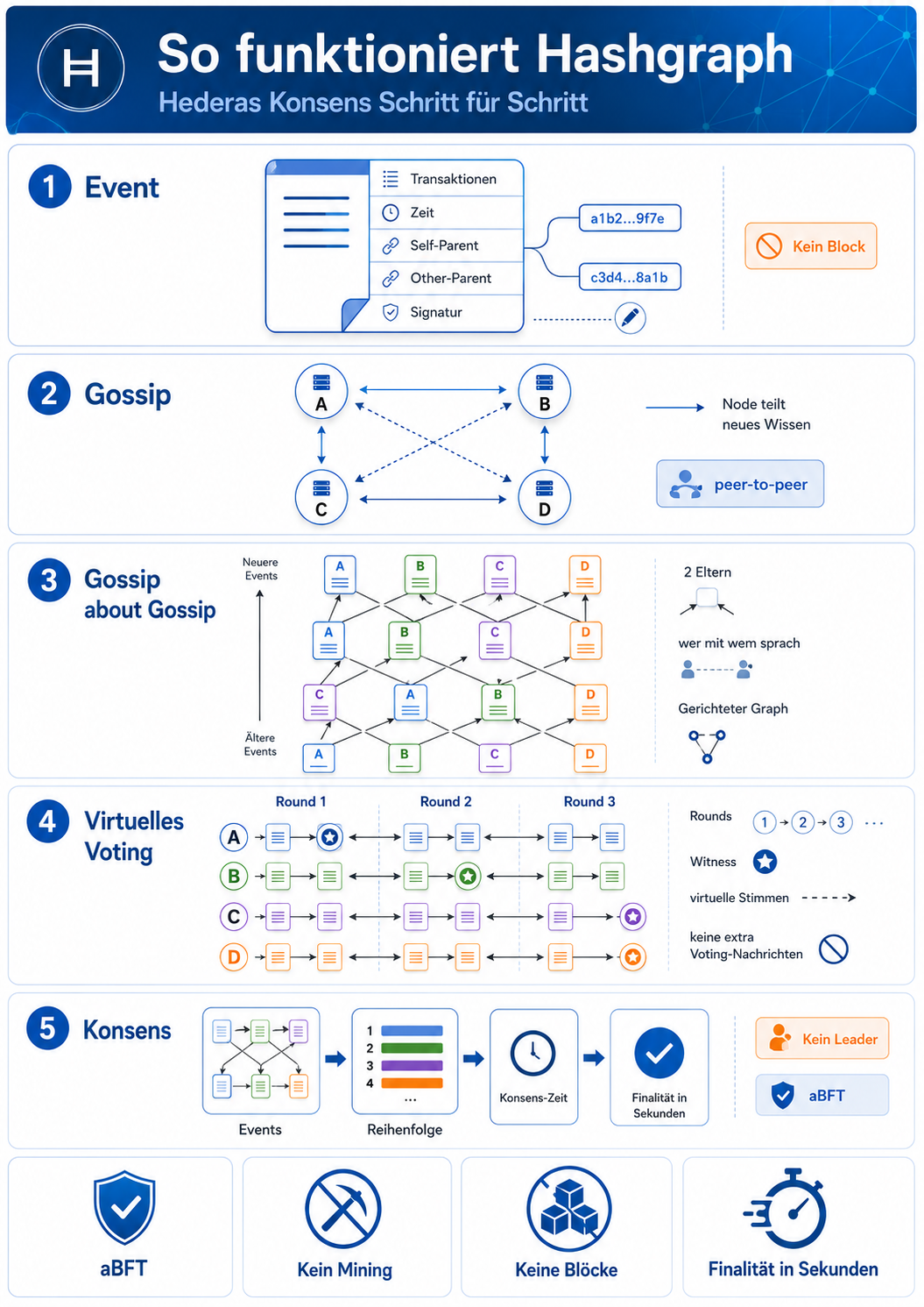 Infografik zur Funktionsweise des Hedera Hashgraph-Konsenses mit Gossip, Gossip about Gossip, virtuellem Voting und aBFT-Finalität.