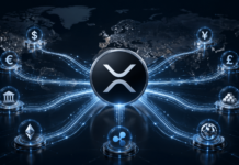RippleX: Nachfrage nach XRP als Brückenasset könnte die nächsten Jahre exponentiell steigen XRP als Brückenwährung: Ripple liefert erstmals konkrete Zahlen