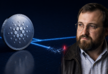 Hoskinson warnt vor Cardano-Delisting bei Coinbase und Binance Charles Hoskinson neben einer ADA-Münze vor unterbrochenen Datenverbindungen