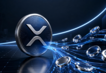 XRP-Münze mit zufließender Stablecoin-Liquidität auf dem XRP Ledger
