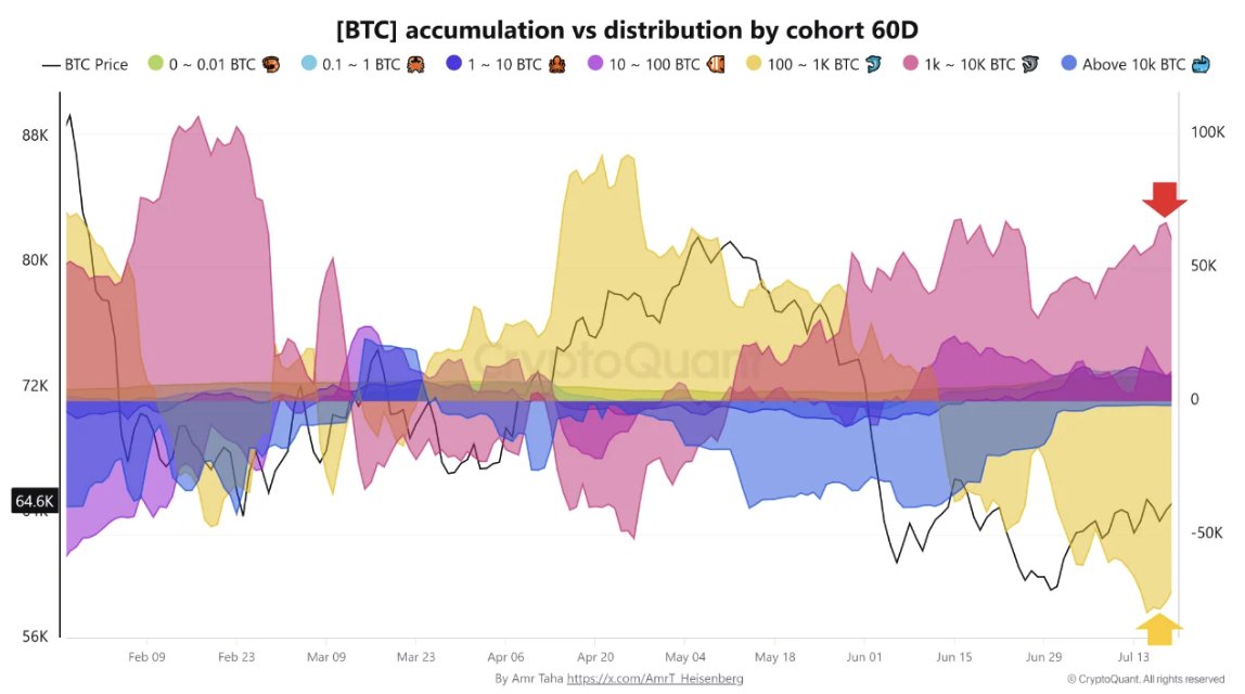 Bitcoin Akkumulation vs. Verteilung nach Haltergruppe