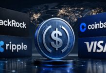 Digitaler Dollar-Token zwischen den Logos von BlackRock, Ripple, Coinbase und Visa vor einem globalen Finanznetzwerk.