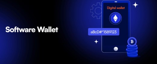 Software-Wallets