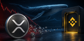 XRP: Wal-Zuflüsse zu Binance brechen um 96 Prozent ein XRP-Wal vor einer digitalen Handelsplattform mit XRP-Coins
