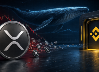 XRP-Wal vor einer digitalen Handelsplattform mit XRP-Coins