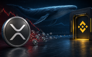 XRP: Wal-Zuflüsse zu Binance brechen um 96 Prozent ein XRP-Wal vor einer digitalen Handelsplattform mit XRP-Coins