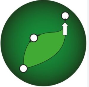 Zingo! wallet app