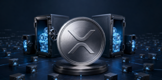 XRP Rich List: Die größten Wallets und die Verteilung der XRP-Bestände