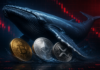 Bitcoin, Ethereum und XRP vor einem Wal und einem fallenden roten Kurschart