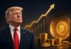 Donald Trump vor Bitcoin-Symbol, Münzstapeln und steigender Kursgrafik.