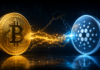 Bitcoin Lightning kommt zu Cardano: Erster Prototyp ist live Bitcoin und Cardano sind über einen Lightning-Zahlungskanal miteinander verbunden.
