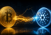 Bitcoin und Cardano sind über einen Lightning-Zahlungskanal miteinander verbunden.