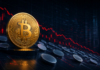 Studie: Bitcoin outperformt 98,3% aller Altcoins nach 2 Jahren Goldene Bitcoin-Münze vor zahlreichen fallenden Altcoins und einem roten Abwärtstrend