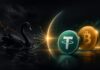 Illustration eines schwarzen Schwans vor einem leuchtenden Schutzschild, hinter dem die Symbole von Tether und Bitcoin vor einem dunklen Finanzhintergrund zu sehen sind.